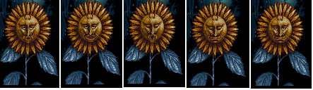 Sunflowerani.png