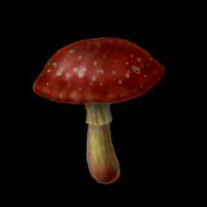 Mushroom